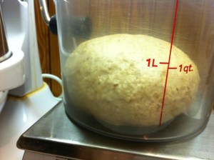 Beginning of 1st rise