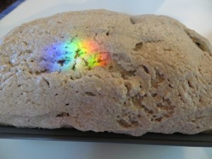 Blessed by the Rainbow