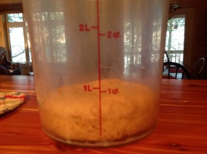 I love this container. It's so easy to tell when a dough has doubled in volume.