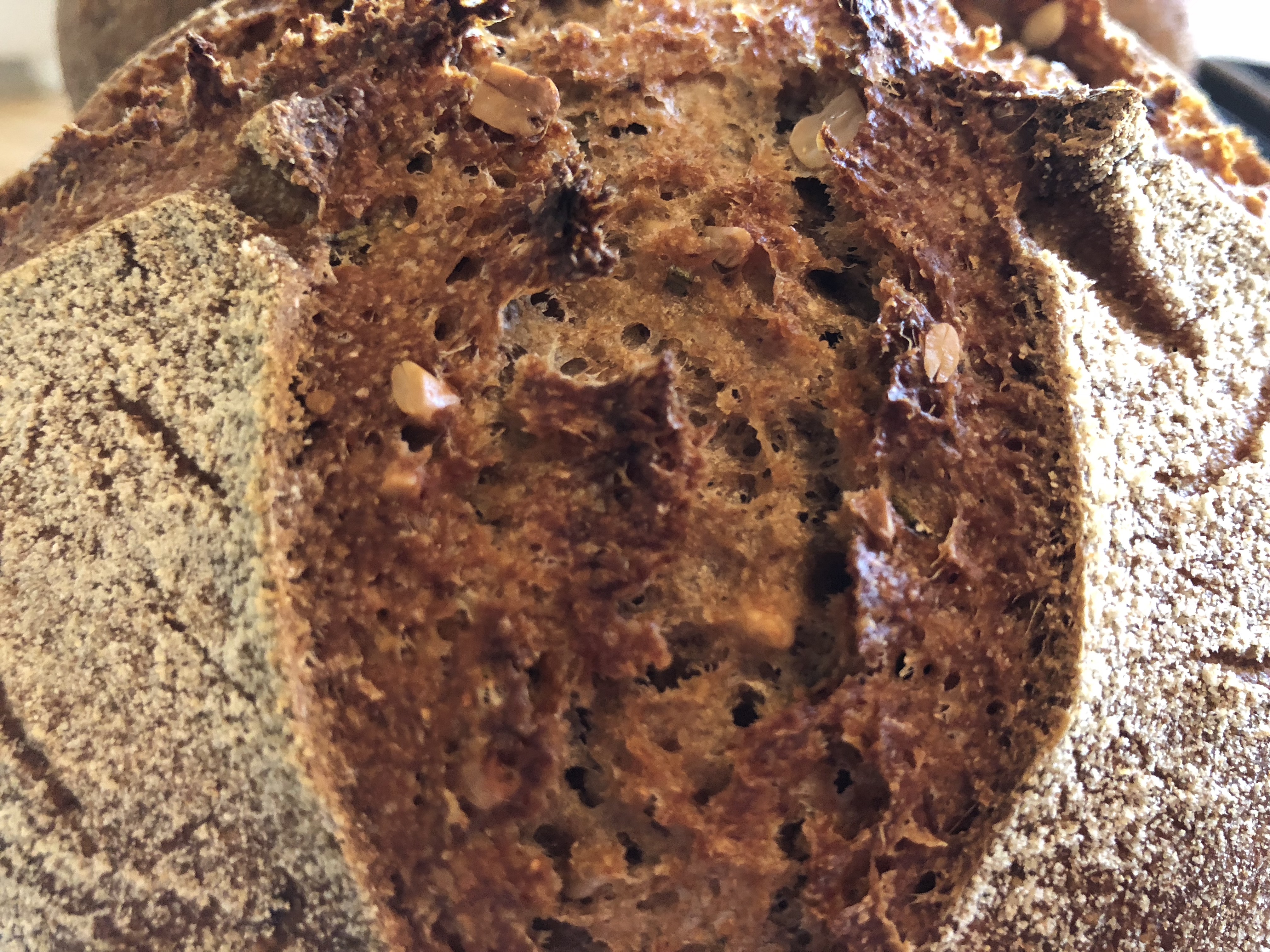 l4YYrJmqSF2uWLo5sbdkyw