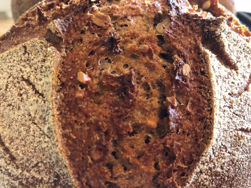 l4YYrJmqSF2uWLo5sbdkyw